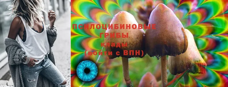 Псилоцибиновые грибы MAGIC MUSHROOMS  дарк нет формула  Вязники  купить наркоту 